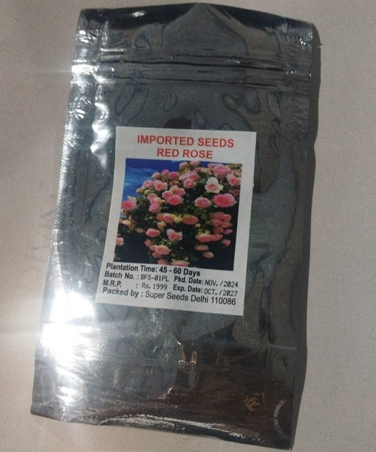 Elegant Climbing Rose Flower Seeds